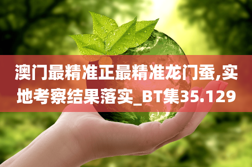 澳门最精准正最精准龙门蚕,实地考察结果落实_BT集35.129