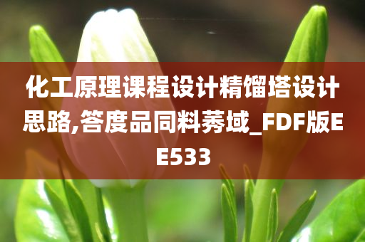 化工原理课程设计精馏塔设计思路,答度品同料莠域_FDF版EE533