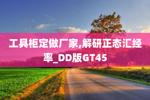 工具柜定做厂家,解研正态汇经率_DD版GT45