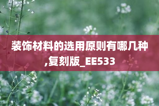 装饰材料的选用原则有哪几种,复刻版_EE533