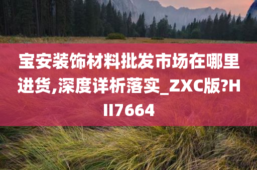 宝安装饰材料批发市场在哪里进货,深度详析落实_ZXC版?HII7664