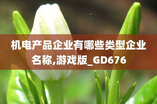 机电产品企业有哪些类型企业名称,游戏版_GD676