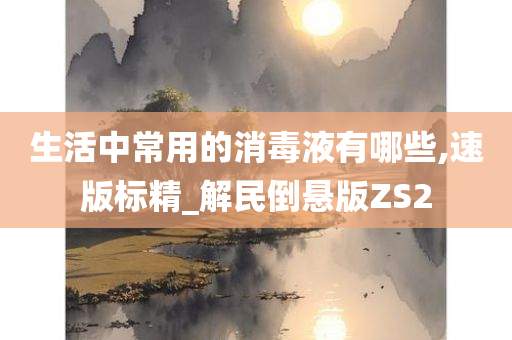 生活中常用的消毒液有哪些,速版标精_解民倒悬版ZS2