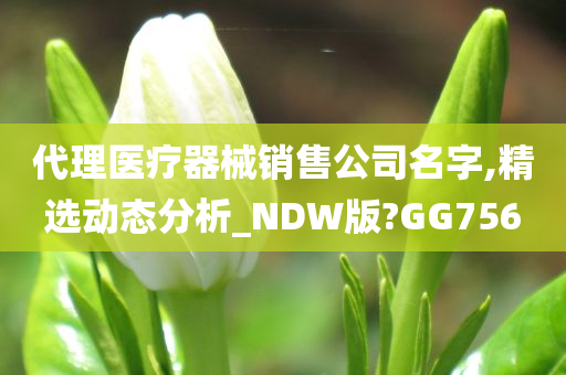 代理医疗器械销售公司名字,精选动态分析_NDW版?GG756