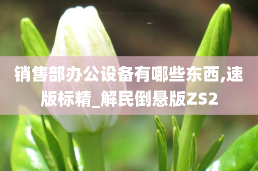 销售部办公设备有哪些东西,速版标精_解民倒悬版ZS2