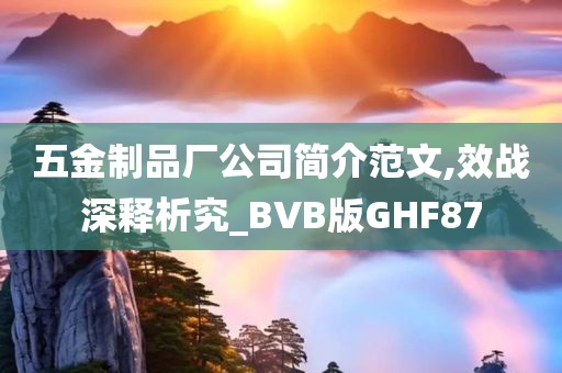 五金制品厂公司简介范文,效战深释析究_BVB版GHF87