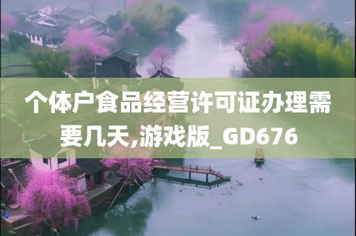 个体户食品经营许可证办理需要几天,游戏版_GD676