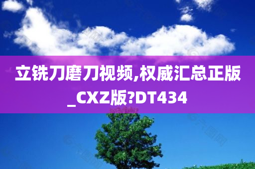 立铣刀磨刀视频,权威汇总正版_CXZ版?DT434