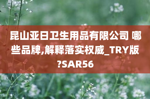 昆山亚日卫生用品有限公司 哪些品牌,解释落实权威_TRY版?SAR56