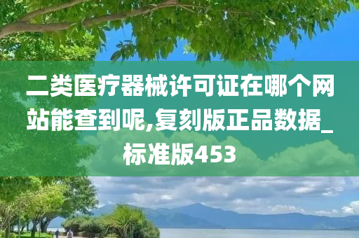 二类医疗器械许可证在哪个网站能查到呢,复刻版正品数据_标准版453