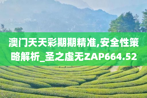 澳门天天彩期期精准,安全性策略解析_圣之虚无ZAP664.52