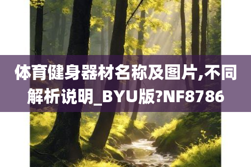 体育健身器材名称及图片,不同解析说明_BYU版?NF8786