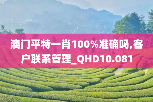 澳门平特一肖100%准确吗,客户联系管理_QHD10.081