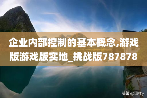 企业内部控制的基本概念,游戏版游戏版实地_挑战版787878