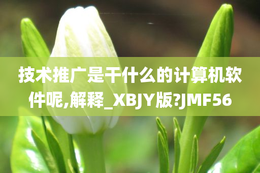 技术推广是干什么的计算机软件呢,解释_XBJY版?JMF56