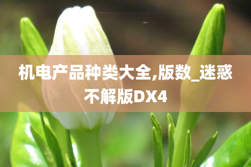 机电产品种类大全,版数_迷惑不解版DX4