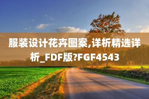 服装设计花卉图案,详析精选详析_FDF版?FGF4543