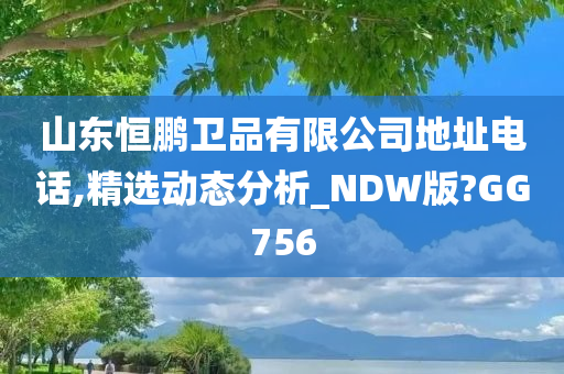 山东恒鹏卫品有限公司地址电话,精选动态分析_NDW版?GG756