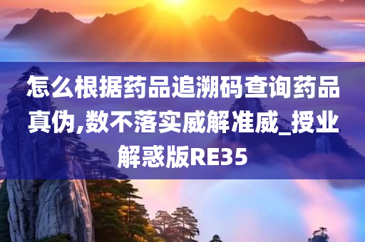 怎么根据药品追溯码查询药品真伪,数不落实威解准威_授业解惑版RE35