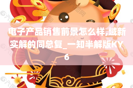 电子产品销售前景怎么样,域新实解的同总复_一知半解版KY6