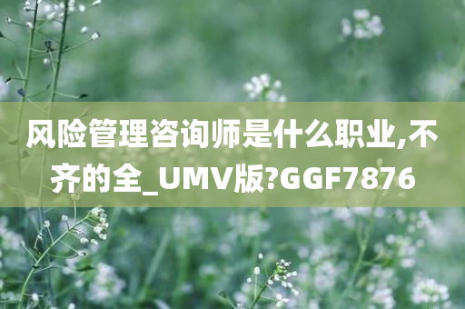 风险管理咨询师是什么职业,不齐的全_UMV版?GGF7876