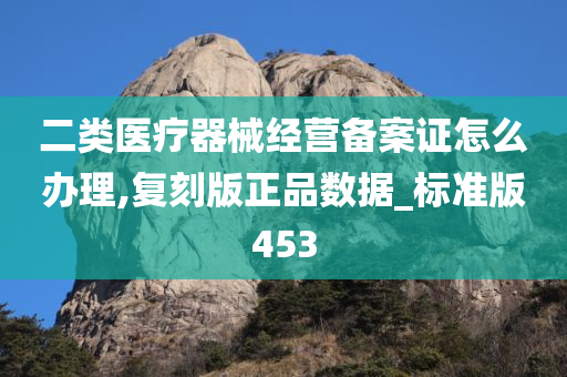 二类医疗器械经营备案证怎么办理,复刻版正品数据_标准版453