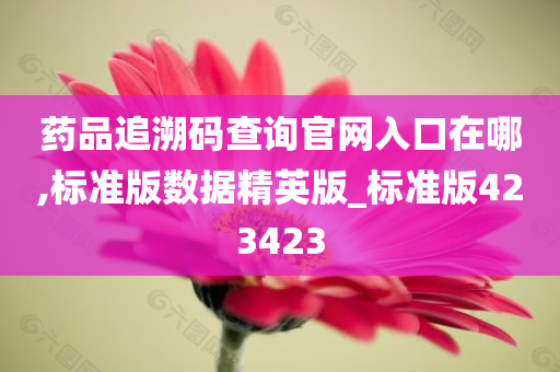 药品追溯码查询官网入口在哪,标准版数据精英版_标准版423423