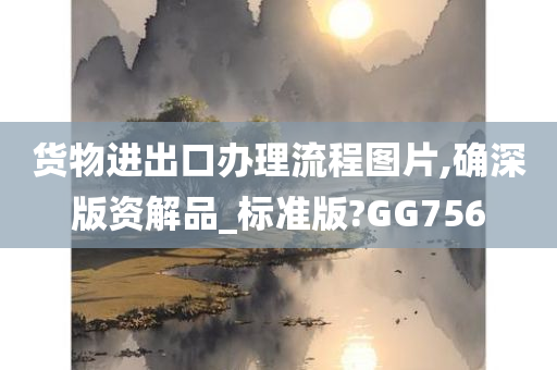 货物进出口办理流程图片,确深版资解品_标准版?GG756