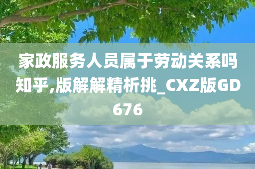 家政服务人员属于劳动关系吗知乎,版解解精析挑_CXZ版GD676