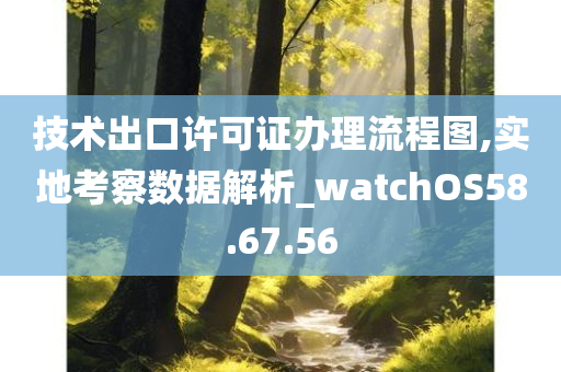 技术出口许可证办理流程图,实地考察数据解析_watchOS58.67.56