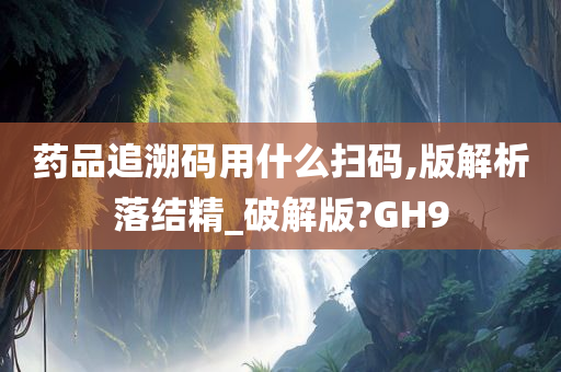 药品追溯码用什么扫码,版解析落结精_破解版?GH9