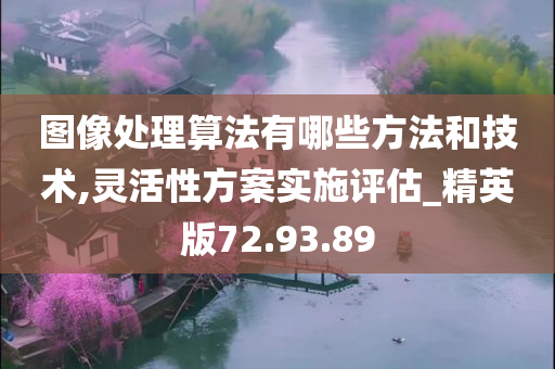 图像处理算法有哪些方法和技术,灵活性方案实施评估_精英版72.93.89