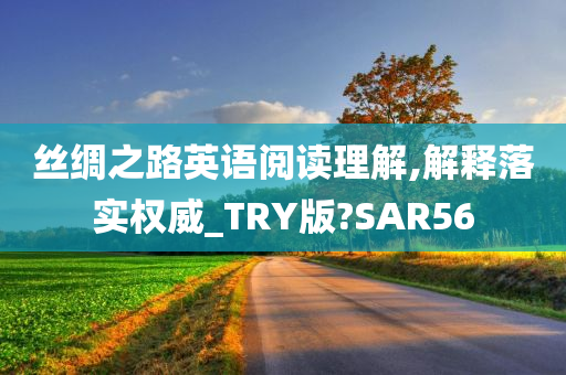 丝绸之路英语阅读理解,解释落实权威_TRY版?SAR56