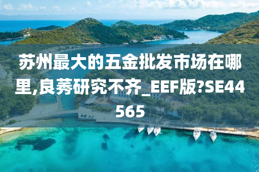 苏州最大的五金批发市场在哪里,良莠研究不齐_EEF版?SE44565