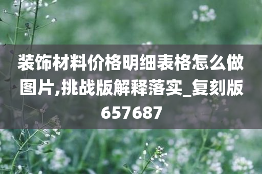 装饰材料价格明细表格怎么做图片,挑战版解释落实_复刻版657687