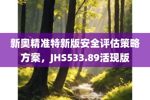 新奥精准特新版安全评估策略方案，JHS533.89活现版