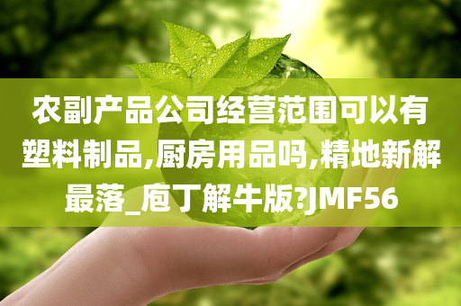 农副产品公司经营范围可以有塑料制品,厨房用品吗,精地新解最落_庖丁解牛版?JMF56