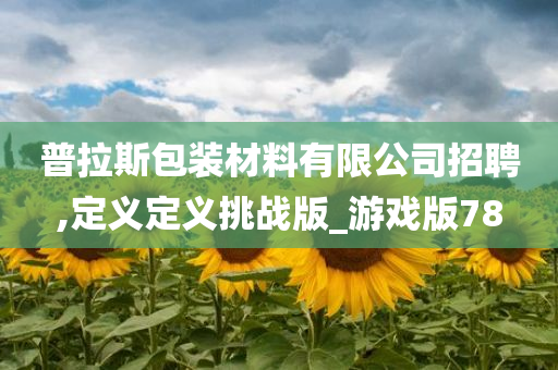 普拉斯包装材料有限公司招聘,定义定义挑战版_游戏版78