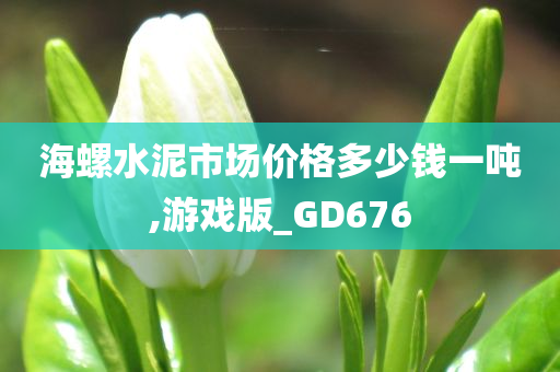 海螺水泥市场价格多少钱一吨,游戏版_GD676