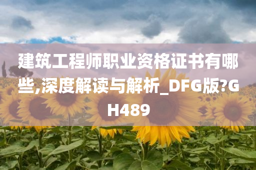 建筑工程师职业资格证书有哪些,深度解读与解析_DFG版?GH489