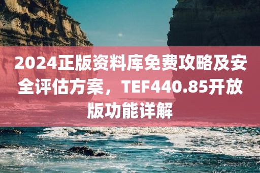 2024正版资料库免费攻略及安全评估方案，TEF440.85开放版功能详解