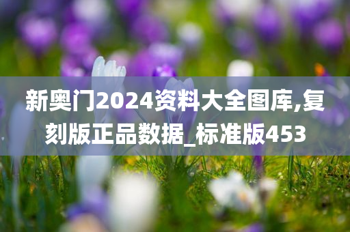 新奥门2024资料大全图库,复刻版正品数据_标准版453