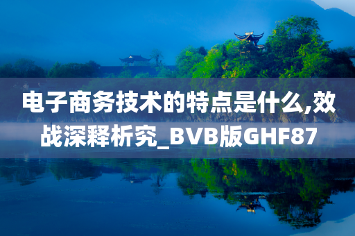 电子商务技术的特点是什么,效战深释析究_BVB版GHF87