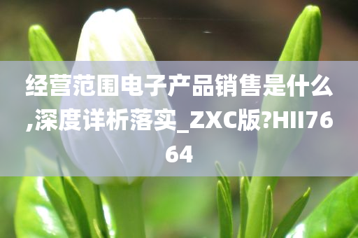 经营范围电子产品销售是什么,深度详析落实_ZXC版?HII7664