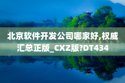 北京软件开发公司哪家好,权威汇总正版_CXZ版?DT434