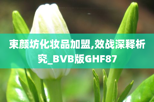 束颜坊化妆品加盟,效战深释析究_BVB版GHF87