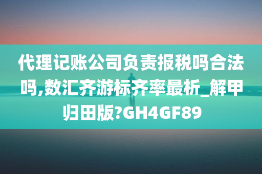 代理记账公司负责报税吗合法吗,数汇齐游标齐率最析_解甲归田版?GH4GF89