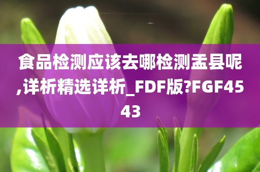 食品检测应该去哪检测盂县呢,详析精选详析_FDF版?FGF4543