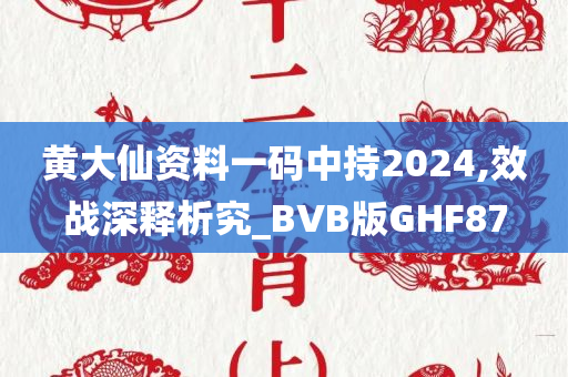 黄大仙资料一码中持2024,效战深释析究_BVB版GHF87