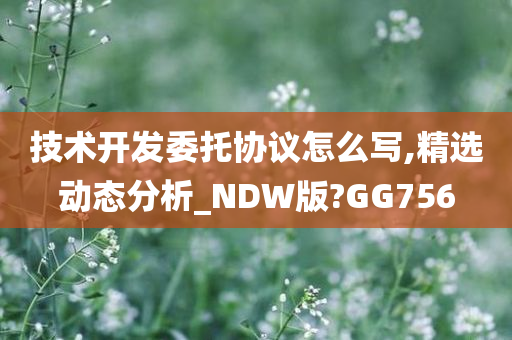 技术开发委托协议怎么写,精选动态分析_NDW版?GG756